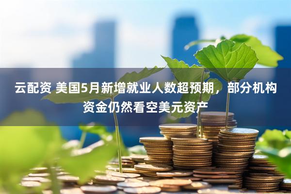 云配资 美国5月新增就业人数超预期，部分机构资金仍然看空美元资产