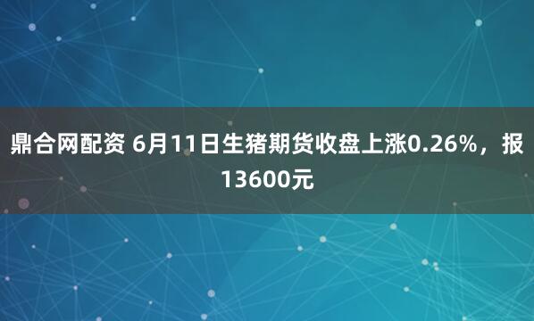 鼎合网配资 6月11日生猪期货收盘上涨0.26%，报13600元