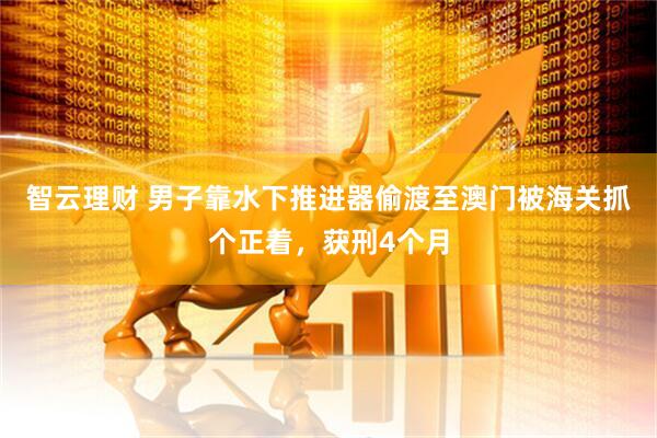 智云理财 男子靠水下推进器偷渡至澳门被海关抓个正着，获刑4个月