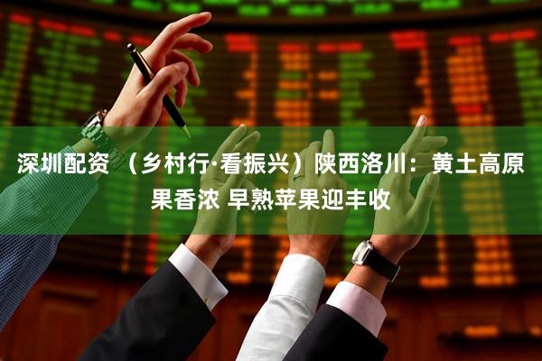 深圳配资 （乡村行·看振兴）陕西洛川：黄土高原果香浓 早熟苹果迎丰收
