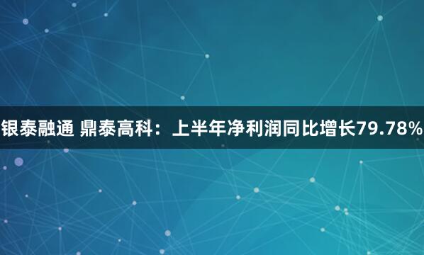 银泰融通 鼎泰高科：上半年净利润同比增长79.78%