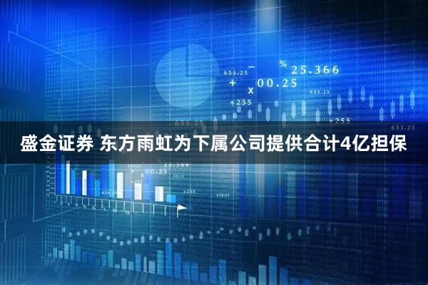 盛金证券 东方雨虹为下属公司提供合计4亿担保