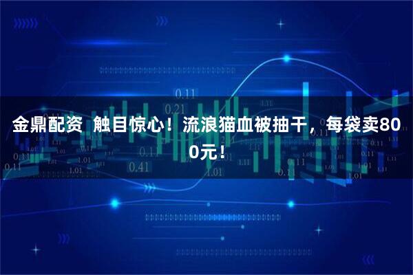 金鼎配资  触目惊心！流浪猫血被抽干，每袋卖800元！
