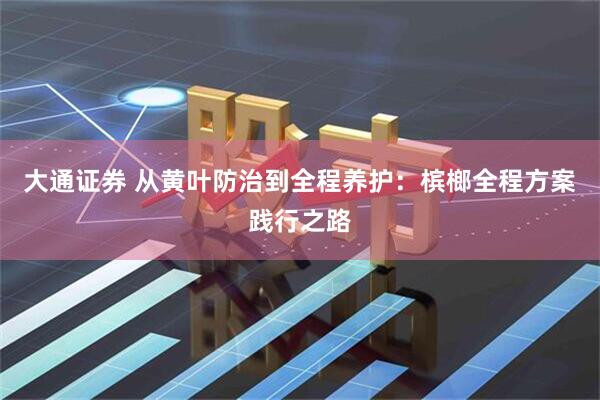 大通证券 从黄叶防治到全程养护：槟榔全程方案践行之路